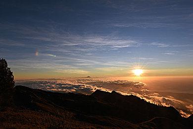 蒂姆·亨曼和汤米·哈斯将登上《决胜点：网球锦标赛》的球场